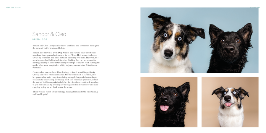 Derp Dog Book Vol 1